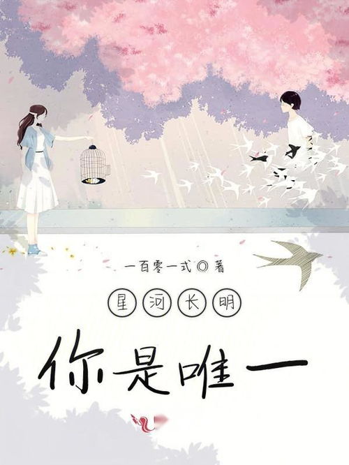 与你相逢，星河长明：一段平凡却动人的故事