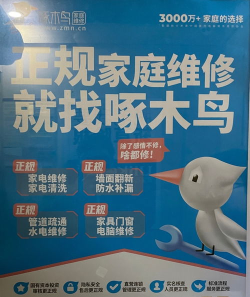 维修刺客啄木鸟：家庭维修收费100元开个水龙头，背后还有哪些套路？