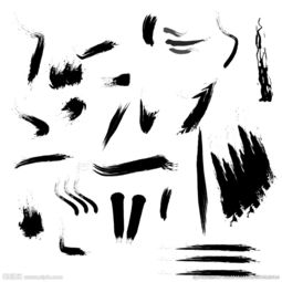 生命的笔触：AI与人类创作的交融之旅