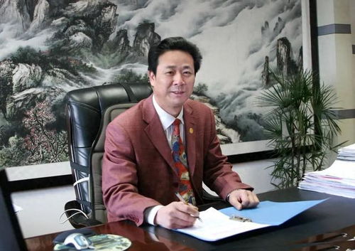 深度解析：蒙启华被双开事件背后的故事