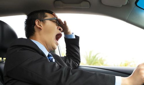 司机疲劳驾驶酿成惨剧：14死37伤背后的真相与反思