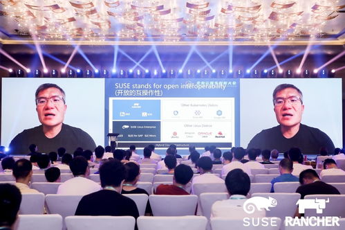 开源胜：一场技术与商业的双重胜利