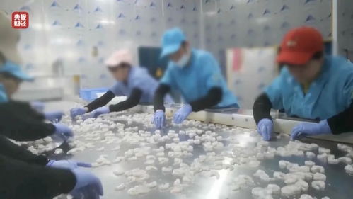 3·15曝光问题引发各地连夜查处，消费者权益保护进入新阶段