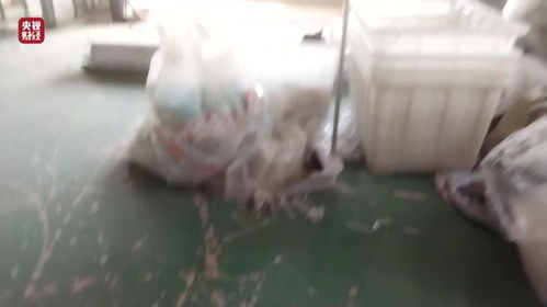 一次性内裤爆雷：消费者权益与产品质量的双重考验