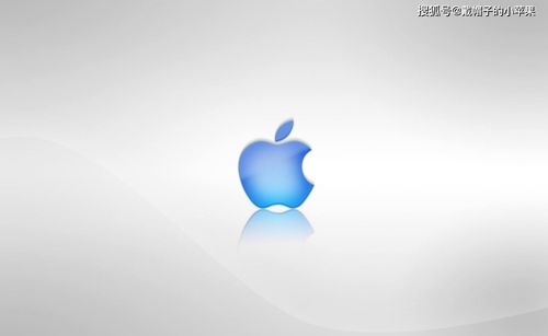 苹果企业账号被封？背后真相竟是这些！