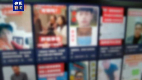 “胖猫”事件背后：办案民警遭遇网暴的真相与反思