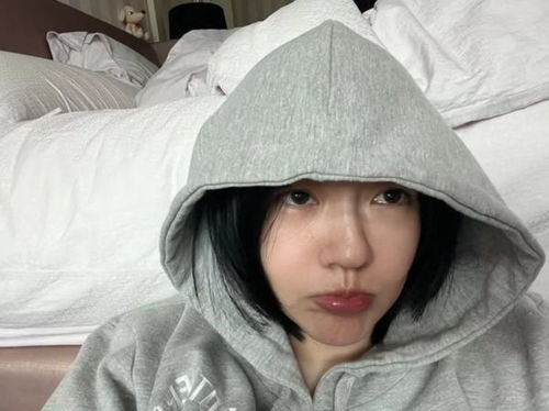 大S今日下葬：树葬与生命的另一种延续