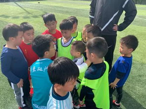 今儿的好时光：那些藏在生活中的小确幸