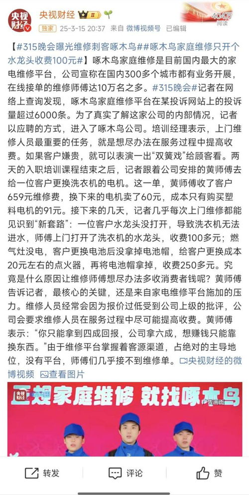 啄木鸟维修平台的另一面：师傅们的真实心声