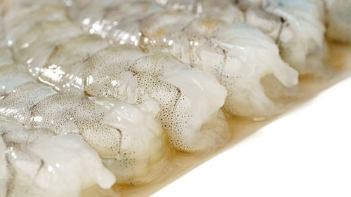 1斤虾仁7两冰！央视曝光“保水虾仁”背后的真相