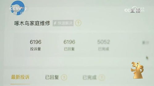 80余名执法人员入驻啄木鸟公司：一场针对职业闭店人的雷霆行动