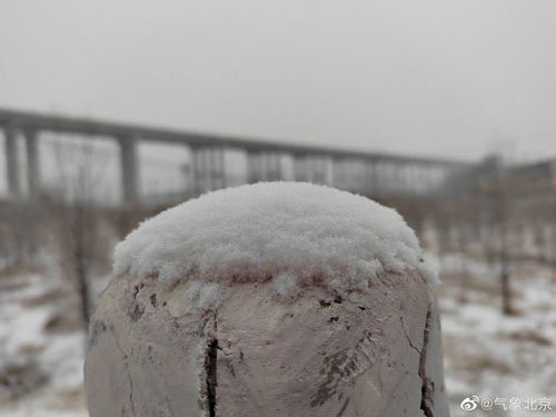 北京多区飘雪：一场三月的春雪奇观