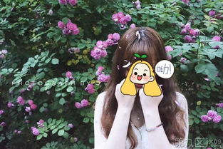 春天的第一口鲜——小木木i的笋味江南