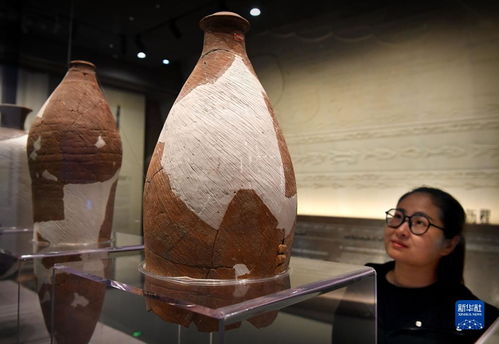 文化中国行：探寻文物里的春天