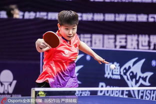 孙颖莎晋级重庆赛决赛：从八分之一到四分之一的辉煌征程