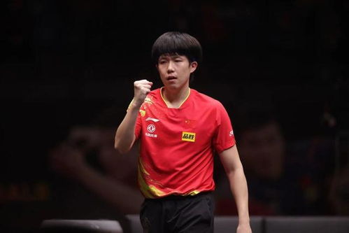 张本智和回应不敌王楚钦：完败背后的心声与反思