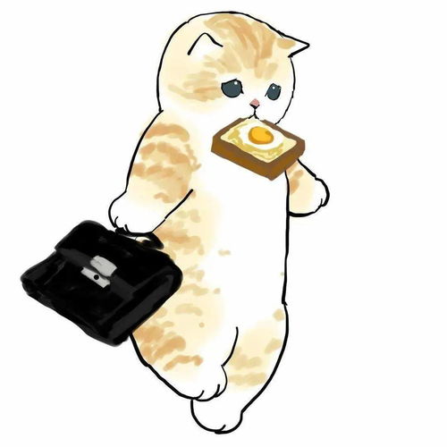 2025省考结束：考生们的感受与经验分享