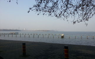 规划失败的行程：从接受渐变到重新定义目标