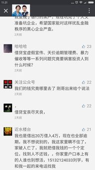 借贷宝回应：非法高利贷与不当催收问题的真相大白