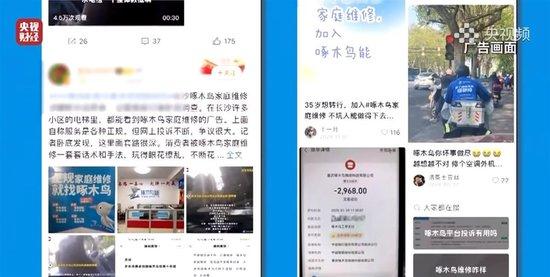 啄木鸟放弃公关？媒体的犀利点评背后真相大揭秘