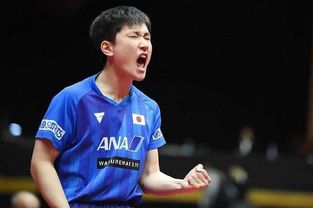 张本智和赛后抱头痛哭：他究竟承受了多少压力？