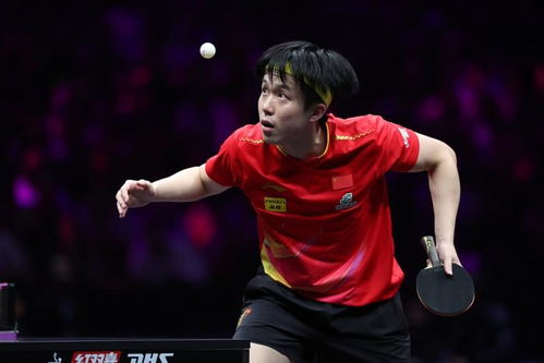 王楚钦重庆赛夺冠：从初战到巅峰的王者之路