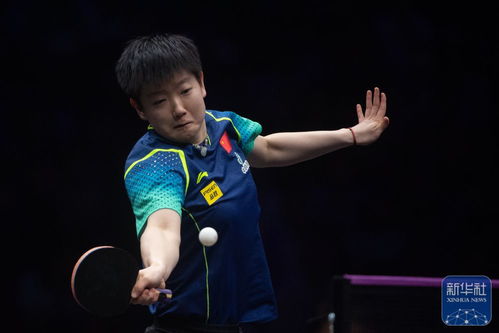 孙颖莎WTT重庆冠军赛夺冠！4-0横扫陈幸同，连赢中日三大主力