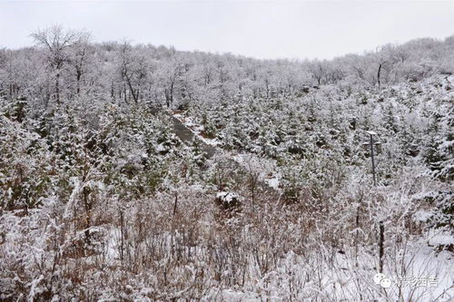 春雪降临，他与这场浪漫相遇