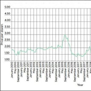 美国“蛋荒”危机：一场全球关注的食品短缺风波