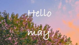 平淡的第285天：生活中的小确幸