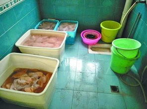 探访咖啡制作黑作坊：真相令人震惊！