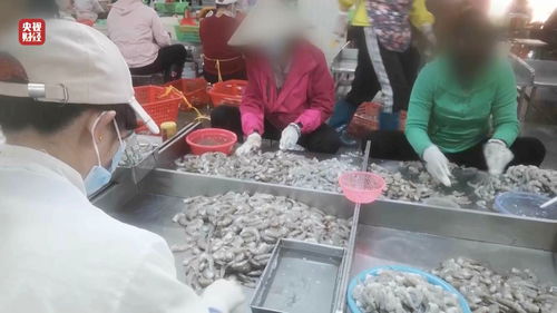 揭秘“保水虾仁”：一斤虾仁七两冰，消费者的知情权何在？