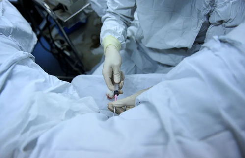 试管婴儿咨询公司背后的隐秘：频繁换壳续命的真相