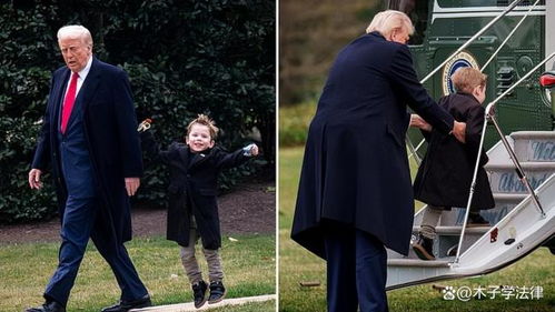 特朗普对胡塞武装的强硬表态：中东局势或再掀波澜