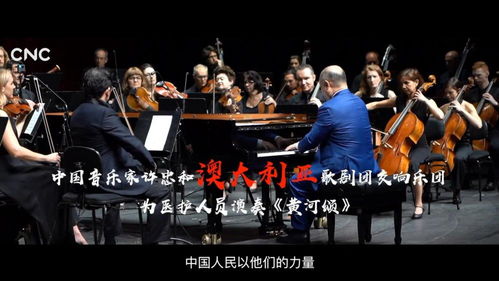 与世界同在：以真心换真心的旅程