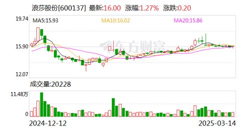 浪莎股份收上交所监管函，背后隐藏了哪些故事？