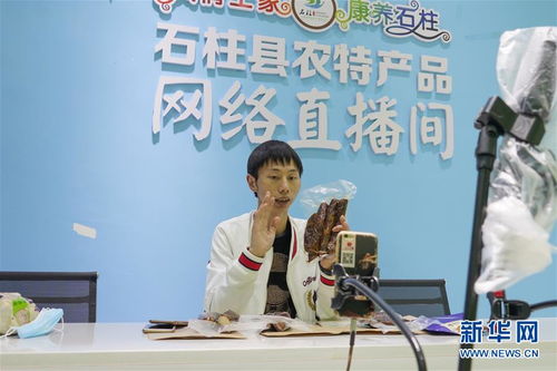 胡同里的乡愁：守护传统文化的温暖记忆