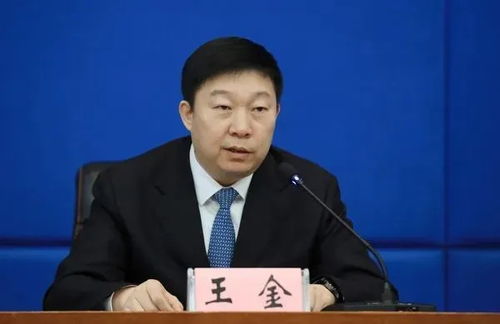 深度解析：佳木斯副市长王金主动投案背后的故事