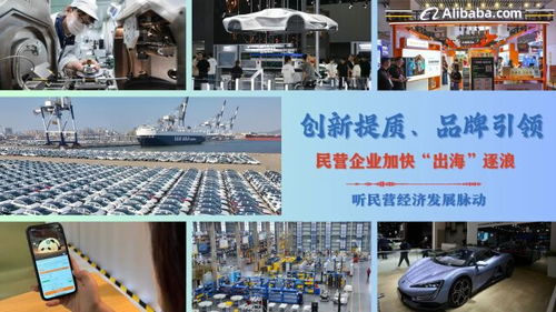 听民营经济发展脉动：创新引领民营企业“出海”逐浪