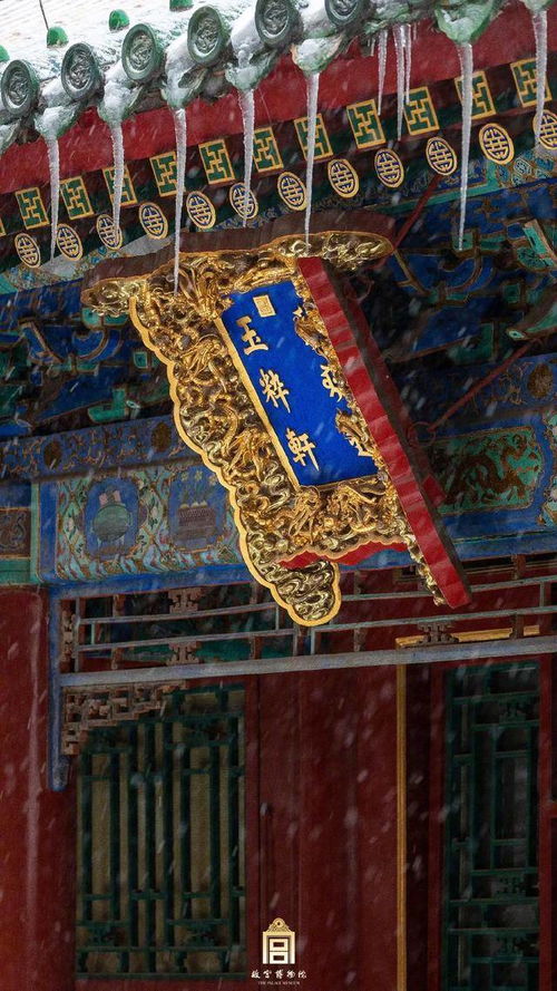 故宫雪景大片：一场春雪与古都的浪漫邂逅