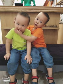 双胞胎兄弟过生日场面好温馨：镜头下的独特情谊