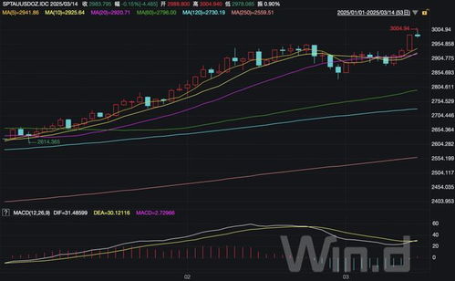 金价冲上3000美元：为何黄金成为投资市场的明星？