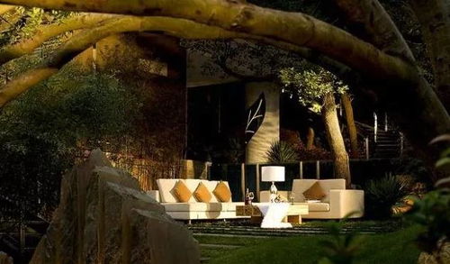 休憩时光：在忙碌中找到片刻宁静