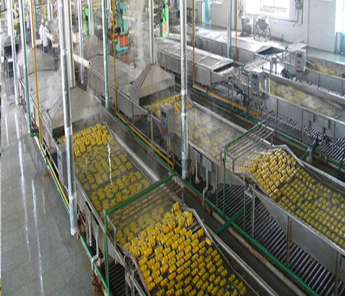 探访黄桃罐头加工厂：污水横流背后的真相