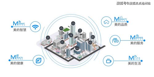 在思维的河流中称量智慧：一位写作者的成长之路