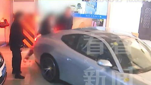 75岁老人开法拉利撞残他人被判9年，这样的判决合理吗？他会去坐牢吗？