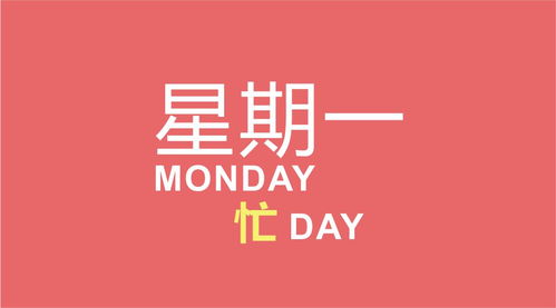 今天星期一：一个普通人的不平凡一天