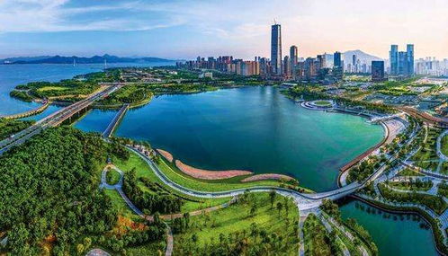 深圳为何留不住梁文锋、王兴兴和冯骥？他们为何选择杭州？