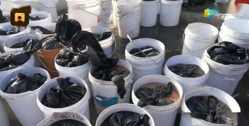 小龙坎火锅食品安全危机：剩菜回收、过期调料，连锁餐饮如何保障顾客健康？