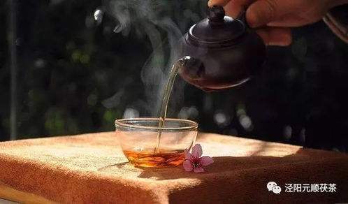 蓝瓷杯底生烟霞：一盏三祛茶的温度与诗行